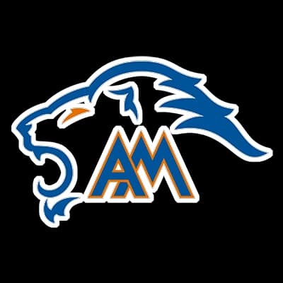 Auburn Mountainview High School